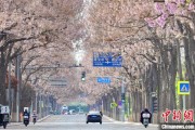 临夏共建“花园城市” 北京这场议政会“百花齐放”